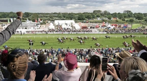 Auf das richtige Pferd setzen