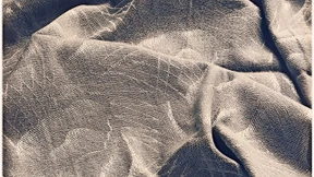 Künstler wollten sie nicht sein