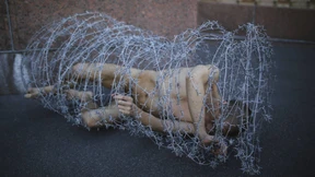 Ein Schöngeist der Justiz