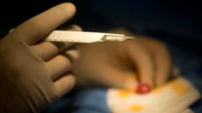 Kabinett billigt Gesetzentwurf