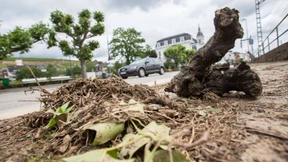 Touristen stecken in Seilbahn fest
