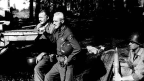 Der alte Mann und der Wald