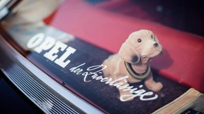 Rhein-Main-Bewohner wenden sich von Opel ab 