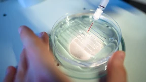 Ist der EuGH bloßer Panikmache aufgesessen?