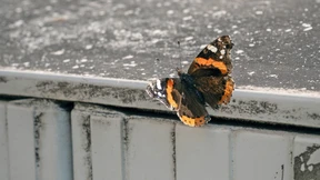 Was uns 2024 glücklich gemacht hat