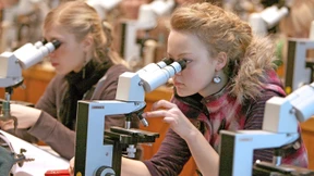 Bis zu 175.000 Euro für das Medizinstudium