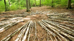 Kunstnomaden im Kurzeinsatz