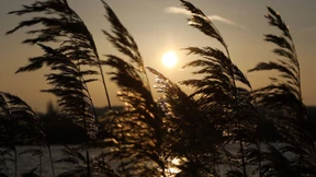 Lufthansa rechnet mit Flugausfällen