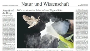 Tipp-Ex für den Quantencomputer