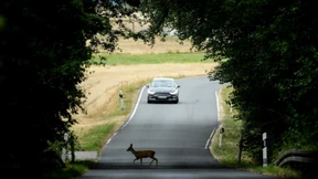 Das denken Fahrlehrer über die Führerscheinreform