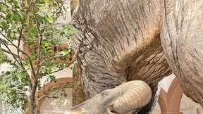 Gigantische Türwächter