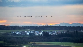 Sommerliche Temperaturen an Silvester
