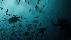 Tausche Staatsschulden gegen Umweltschutz