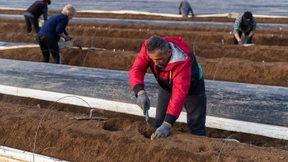 Unternehmen beantragen wieder mehr Kurzarbeit