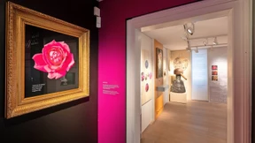 Alles dreht sich um die Königin der Blumen