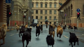 Der ungarische Napoleon