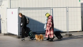 Auch an die Haustiere wird fortan gedacht