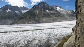 Schrille Töne und leises Sterben