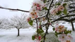 Wintereinbruch im Süden Deutschlands