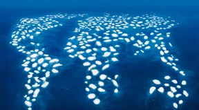 Auf in den Kunstherbst!