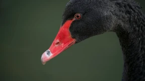 Überraschende Finanzmärkte