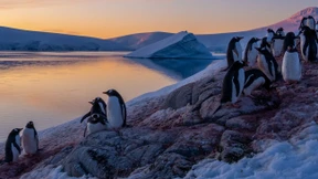 Das Jahrhundert der Pol-Eroberungen