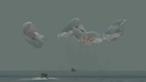 SpaceX-Kapsel ist sicher im Golf von Mexiko gelandet