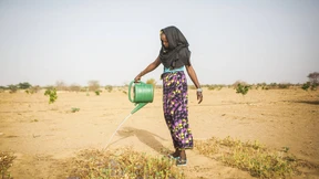 Der Traum von der großen grünen Mauer