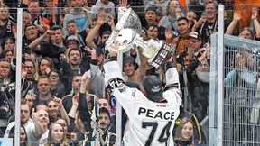 Löwen wie Phoenix aus der Asche