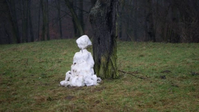 Wann wird es endlich richtig Winter? 