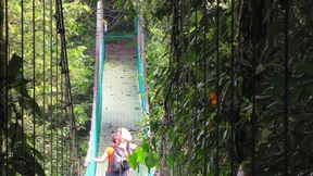 Menschen sind die besseren Brüllaffen