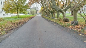 Neuer Radweg am Rhein eröffnet