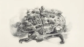 Schlangen, Fische und der Mensch