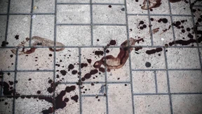 Als Stalin Hitlers Verbündeter war