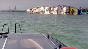 Schiff mit fast 15.000 Schafen gekentert