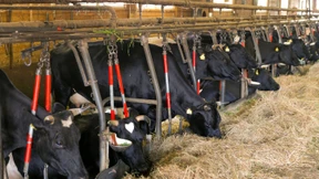 Für mehr Bio und für die Region