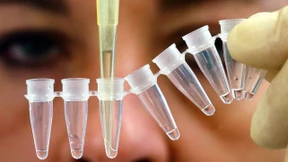 FDP will vorgeburtliche Vaterschaftstests erlauben