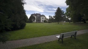 Ein Katzen-Quintett für den Gustavsgarten