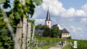 „Im Taunus werden wir Wald roden müssen“