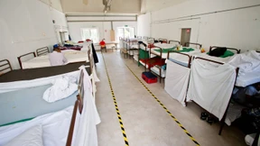 Ein Angebot, das sie nicht ablehnen können