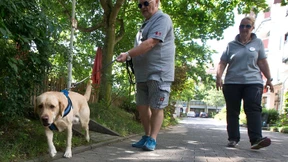 Stetes Schnüffeln führt zum Ziel