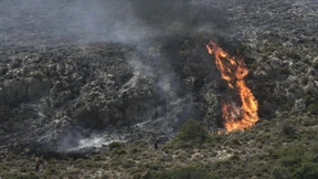 Waldbrände halten Feuerwehren in Atem