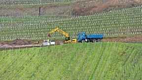 Behörden bremsen Weinbau-Drohnen aus