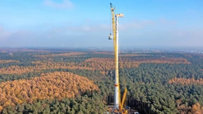 Radschlag im lauen Lüftchen
