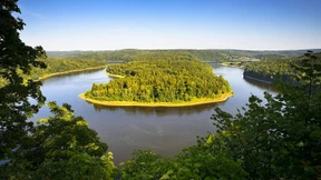 Wunsch und Wirklichkeit