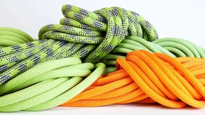 An ihnen hängt das Leben