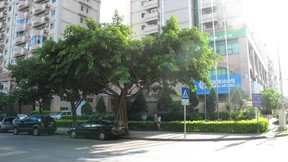 Deutscher Todeskandidat legt Berufung ein