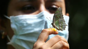 Die „dritte Welle“ der Pandemie rollt unbemerkt