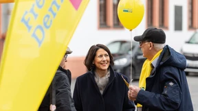 Auch wo sie still regiert, leidet die FDP