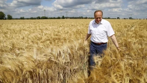 Warum hat fast jeder fünfte Landwirt AfD gewählt, Herr Rukwied?